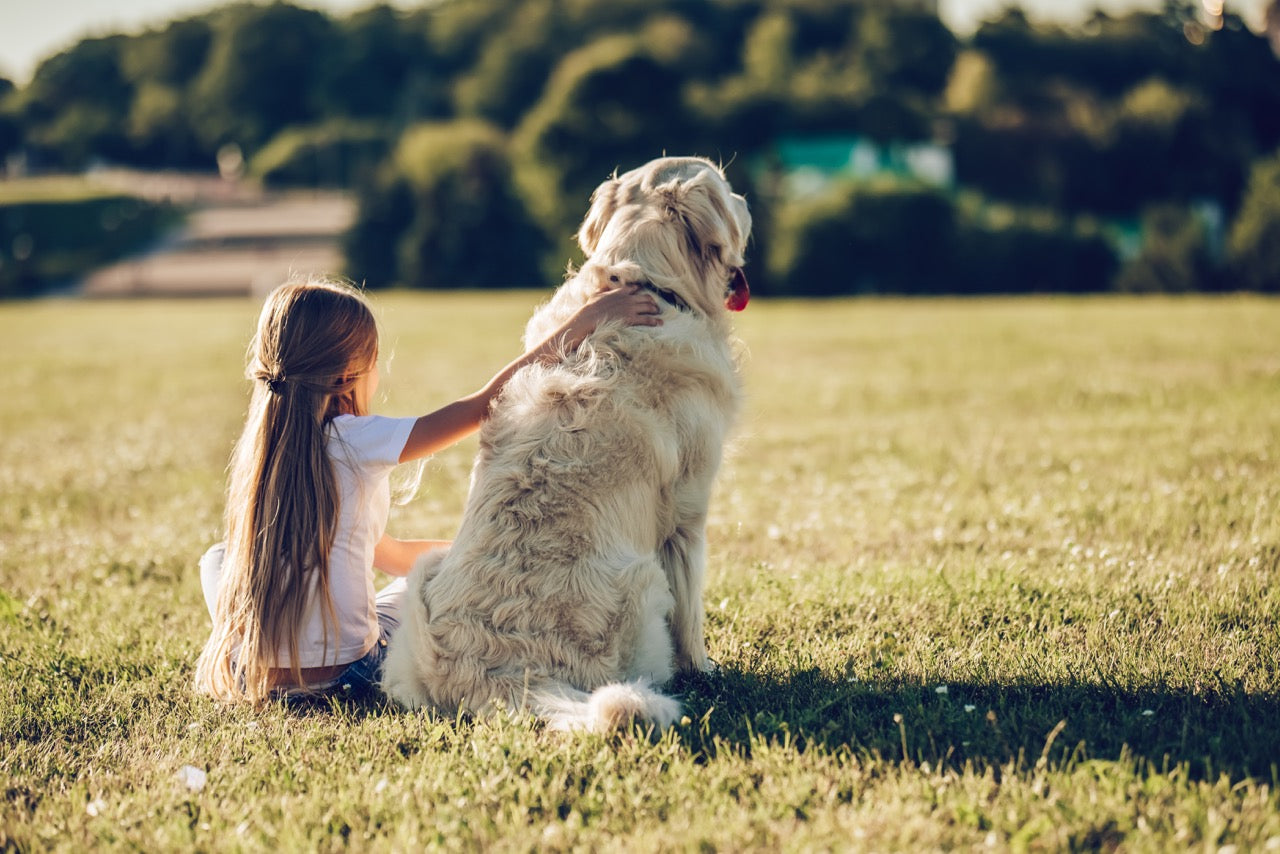 Junges Mädchen umarmt ihren großen Hund auf dem Feld