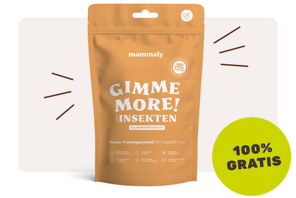 Gimme More! mit Insekten