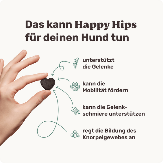 Hunde Gelenksnack Happy Hips Produktvorteile