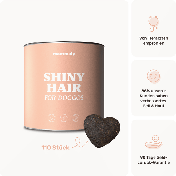 Hunde Fellpflege-Snack Shiny Hair Produktverpackung