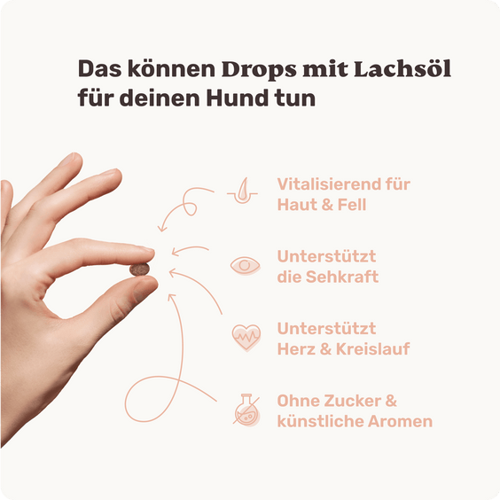 Hunde Lachsöl-Drops Produktvorteile