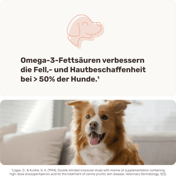 Hunde Lachsöl-Drops Produktstudie