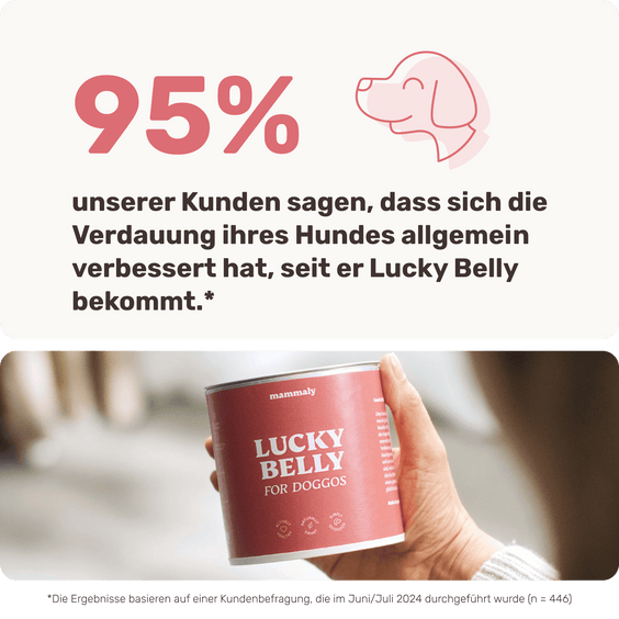 Hunde Verdauungssnack Lucky Belly Kundenumfrage