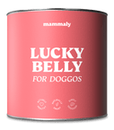 Lucky Belly