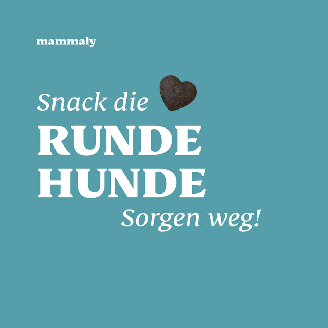 Kalorienarme Hundesnacks Perfect Weight - Runde Hunde