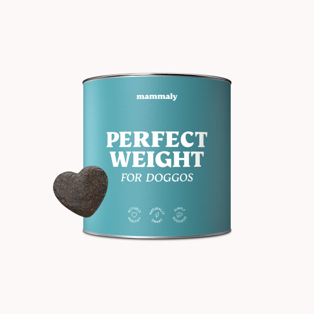 Kalorienarme Hundesnacks Perfect Weight - Produktverpackung