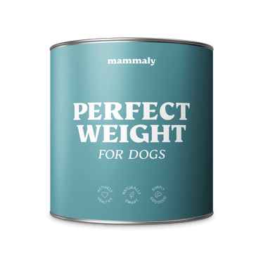 Perfect Weight