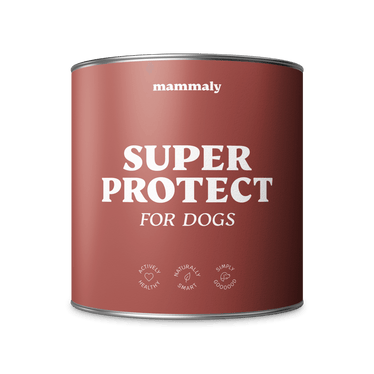 Super Protect