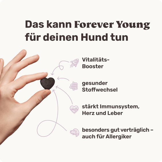 Hunde Seniorsnack Forever Young Produktvorteile