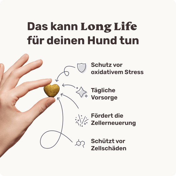 Hunde Zellpowersnack Long Life Produktvorteile